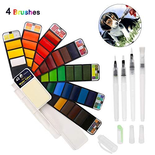 BBLIKE Acuarelas, Set de Pintura de Acuarela sólida,42 Colores Caja de Almacenamiento del Sector con 4 Pincel de Pintura de Agua Pigmento de Acuarelas portatiles para artículos de Arte
