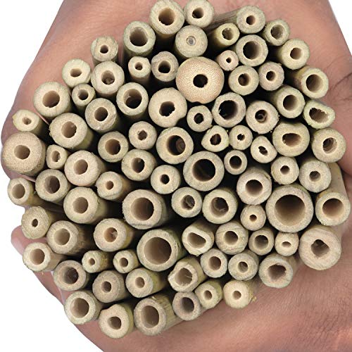 BELLE VOUS Palos de Bambu o Estacas de Bambú - Pack de 100 Bambu Decorativo para Niños y Adultos para Crear Modelos, Campanas de Viento, Collage, Decorar Tarjetas, Otras Manualidades y Bricolaje