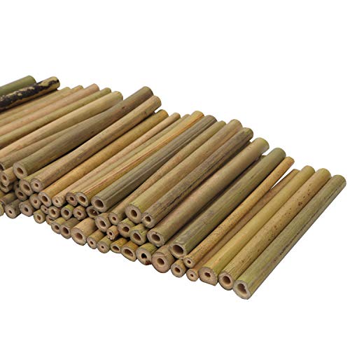 BELLE VOUS Palos de Bambu o Estacas de Bambú - Pack de 100 Bambu Decorativo para Niños y Adultos para Crear Modelos, Campanas de Viento, Collage, Decorar Tarjetas, Otras Manualidades y Bricolaje
