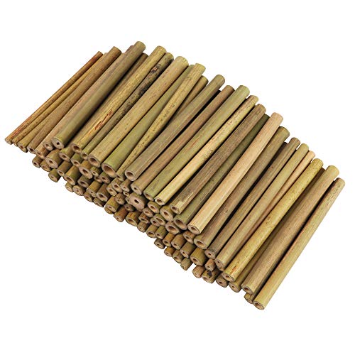 BELLE VOUS Palos de Bambu o Estacas de Bambú - Pack de 100 Bambu Decorativo para Niños y Adultos para Crear Modelos, Campanas de Viento, Collage, Decorar Tarjetas, Otras Manualidades y Bricolaje