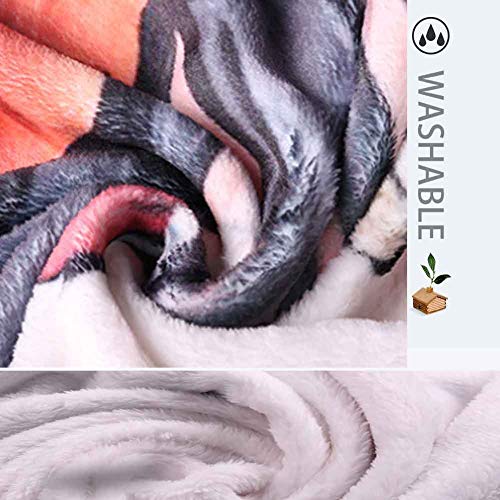 BHAHFL Manta De Doble Capa con Forro Polar, Franela Suave, Cama Doble, Mantas Grandes, Manta De Microfibra para Sofá para Sillas/Cama/Oficina, Ropa De Cama Exquisita, Cálida,100 * 150CM