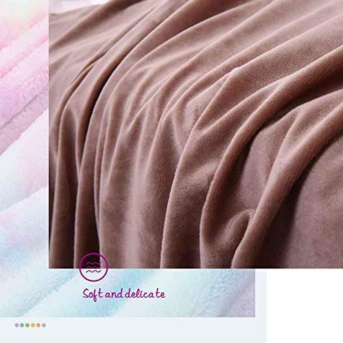 BHAHFL Manta De Doble Capa con Forro Polar, Franela Suave, Cama Doble, Mantas Grandes, Manta De Microfibra para Sofá para Sillas/Cama/Oficina, Ropa De Cama Exquisita, Cálida,C,160 * 200CM