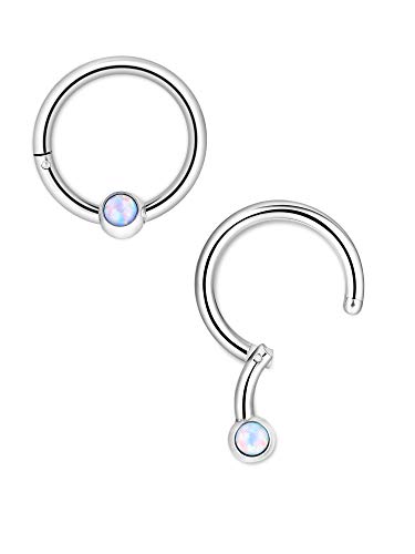 Blulu 6 Piezas de Aro de Nariz Anilla de Clicker con Bisagras de Acero Inoxidable 16G Anilla de Labio CZ Cristal Opal Joyería de Piercing, 6 Estilos (Plateado)