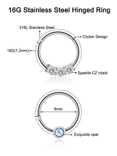 Blulu 6 Piezas de Aro de Nariz Anilla de Clicker con Bisagras de Acero Inoxidable 16G Anilla de Labio CZ Cristal Opal Joyería de Piercing, 6 Estilos (Plateado)
