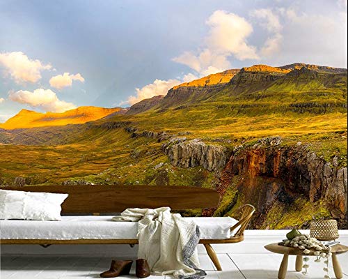 BZDHWWH Iceland Hill Moss Nature Foto Mural 3D Fondo De Pantalla Sala De Estar Sofá Tv Pared Dormitorio Fondos De Pantalla Decoración Para El Hogar Cafetería,140cm(W) x 70.5cm(H)