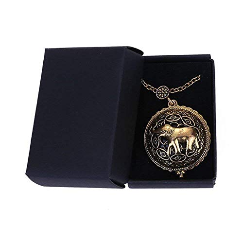 Cadena Collar portátil lupa de Alta Definición 5X retro del suéter del collar de la joyería viejos relojes de lectura de identificación de bricolaje Artesanía Talla portátil Magnifing de cristal KaiKa