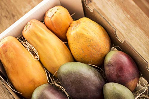 Caja de Papayas y Mangos-directamente de nuestra finca a tu casa