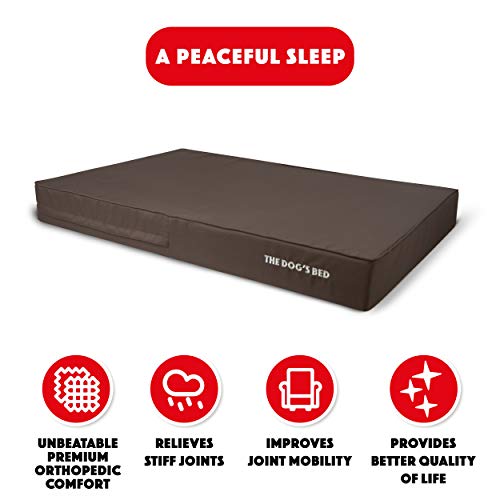 Cama ortopédica para perro, cama impermeable con espuma viscoelástica para perro