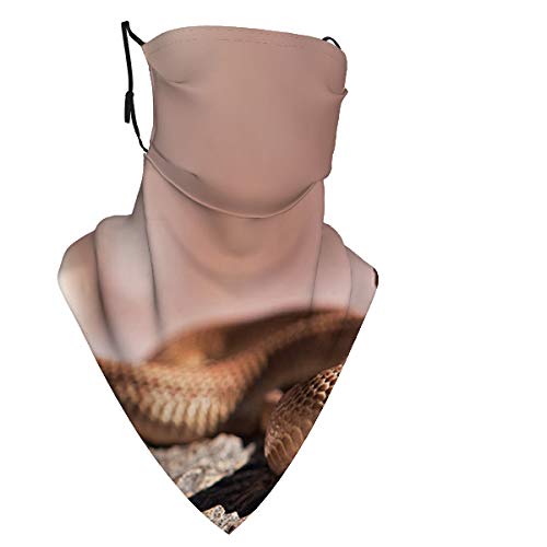 Cape Cobra Naja Nivea Yellow Cobra South Africa Co Magic Wide Wicking Headbands Outdoor Headwear Bandana Sports Scarf Tube UV