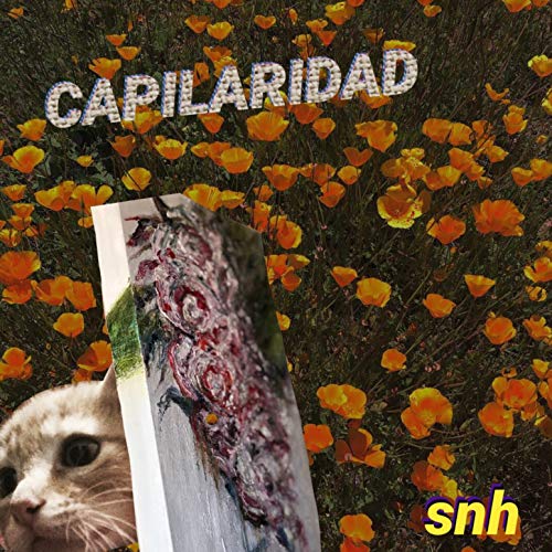 Capilaridad