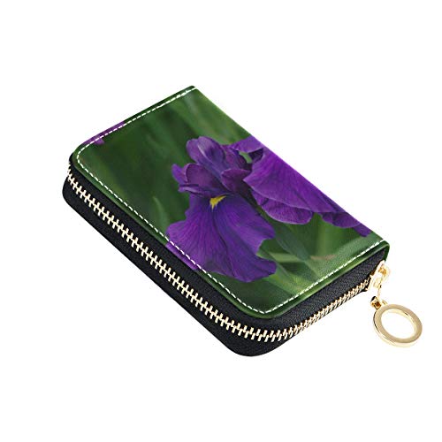 Carteras con Tarjetero Flor de Iris floreciente en un Prado Cartera con Tarjeta de crédito Monedero Cuero de la PU Cremallera Alrededor Tamaño Compacto Cartera de Tarjeta Delgada para Mujeres Señoras