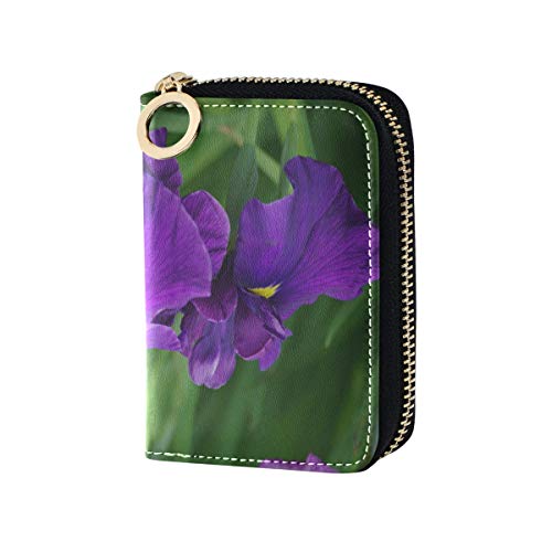 Carteras con Tarjetero Flor de Iris floreciente en un Prado Cartera con Tarjeta de crédito Monedero Cuero de la PU Cremallera Alrededor Tamaño Compacto Cartera de Tarjeta Delgada para Mujeres Señoras