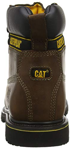 Cat Footwear Holton, Botas de Trabajo para Hombre, Marrón (Brown 003), 43 EU