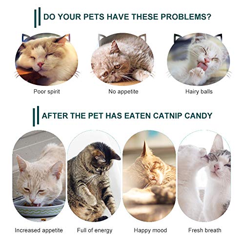 Cat Snacks Candy, Bola de Menta Natural para Gatos, Juego de bolas de hierba gatera, Juegos de Catnip 4 en 1,de Gato Interactivos Rotatorios de Hoja de Menta Natural Pura, Limpieza de dientes