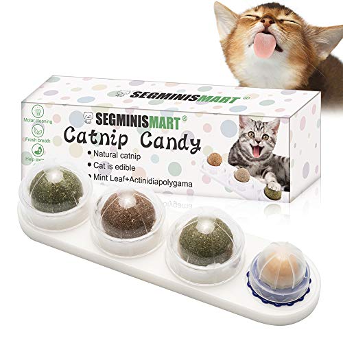 Cat Snacks Candy, Bola de Menta Natural para Gatos, Juego de bolas de hierba gatera, Juegos de Catnip 4 en 1,de Gato Interactivos Rotatorios de Hoja de Menta Natural Pura, Limpieza de dientes