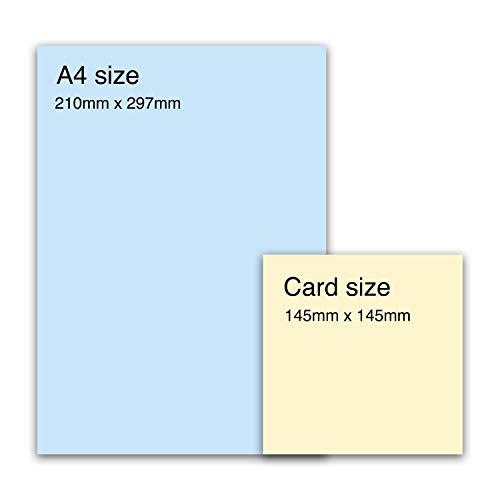 Central 23 - Divertida tarjeta de cumpleaños "Happy Beerthday" - Tarjeta de cumpleaños para mujer y hombre - con pegatinas divertidas