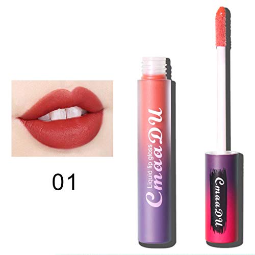 Cloud ROM 10 Barra de Labios Colores Pintalabios Lápiz Labial Mate Impermeable y Larga Duración Maquillaje Belleza en Botella Vino Tinto Cosmética Mujeres Sexy Brillo Fiesta