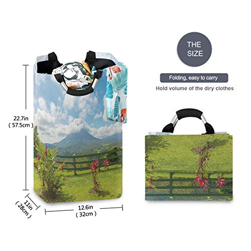 COFEIYISI Cesto para la Colada,Vista del Volcán Arenal Desde el Punto de observación de Costa Rica Scenic,Plegable Cestas Bolsas Almacenamiento para Colada Cestos para Juguete Ropa Sucia