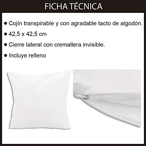 Cojin Decorativo, Original y Personalizado para Regalo, Ideal para Hobby. Incluye Relleno. La Musica me Mola un Huevo. 42,5 X 42,5 cm. Cojines con Agradable Tacto de Algodon.