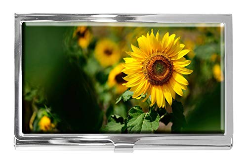 Color Flowers Macro Natures - Tarjetero, diseño de girasoles, color amarillo