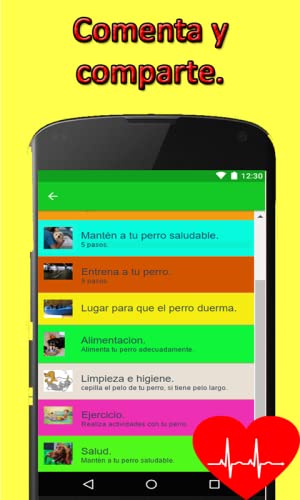 Como Cuidar a tu perro