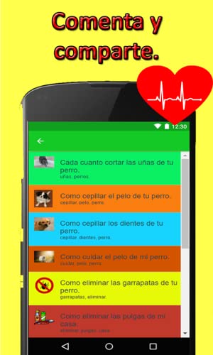 Como Cuidar a tu perro