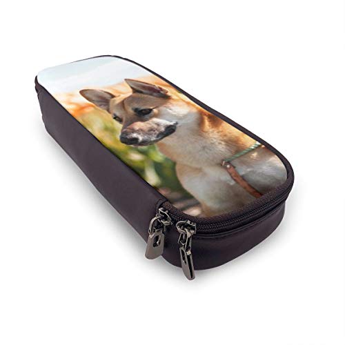 Corgi Tulip - Estuche para lápices y bolígrafos para estudiantes, colegios y oficinas, tamaño grande