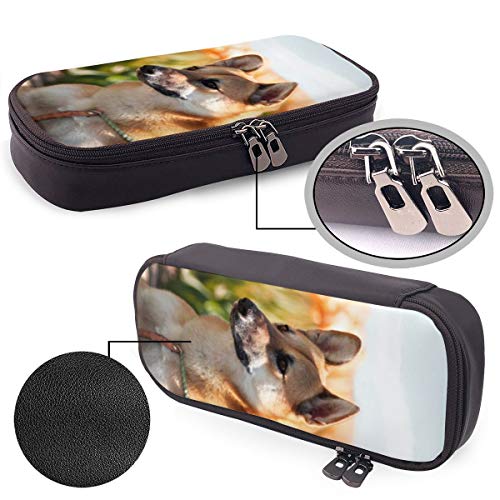 Corgi Tulip - Estuche para lápices y bolígrafos para estudiantes, colegios y oficinas, tamaño grande