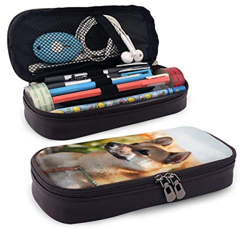 Corgi Tulip - Estuche para lápices y bolígrafos para estudiantes, colegios y oficinas, tamaño grande