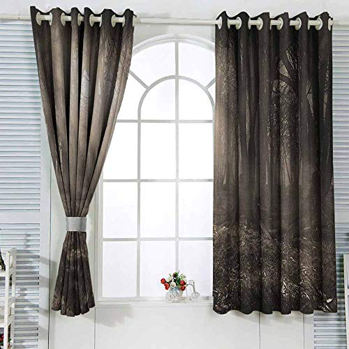 Cortinas con ojales, diseño gótico de bosque oscuro, con rayos de sol y niebla, colores nostálgicos, arte fantasía, impermeable, 55 x 45 cm, color marrón