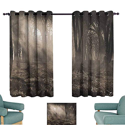 Cortinas con ojales, diseño gótico de bosque oscuro, con rayos de sol y niebla, colores nostálgicos, arte fantasía, impermeable, 55 x 45 cm, color marrón