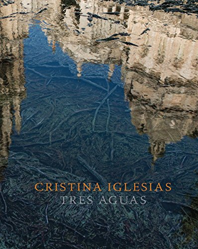 Cristina Iglesias: Tres aguas (Arte y Fotografía)