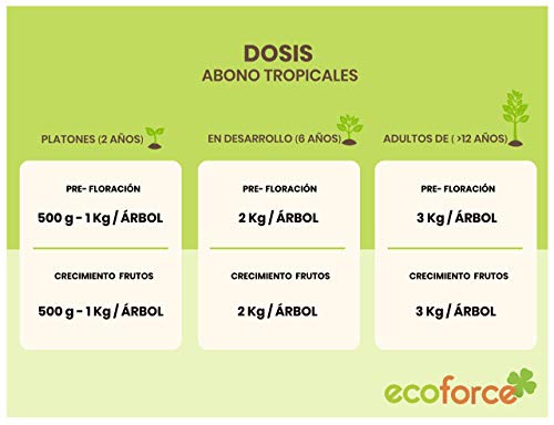 CULTIVERS Abono - Fertilizante ecológico de 5 kg para Plantas y árboles Tropicales para Aguacate, Mango, Litchi, Pitahaya, Papaya y Guayaba. 100% Natural