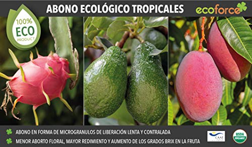 CULTIVERS Abono - Fertilizante ecológico de 5 kg para Plantas y árboles Tropicales para Aguacate, Mango, Litchi, Pitahaya, Papaya y Guayaba. 100% Natural