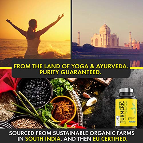Curcumina de cúrcuma orgánica 1420mg - Potencia superior, pureza certificada - con pimienta negra y jengibre - 120 cápsulas veganas de cúrcuma de alta resistencia - Hecho en UE por NutriZing