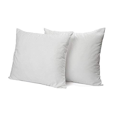 DAGOSTINO HOME BOUTIQUE COLLECTION Pack de 2 Almohadas de Fibra Supersuave Lavables 40x90 cm.(Todas Las Medidas). Tratamiento Aloe Vera, firmeza Media-Baja, Altura 16 cm, Calidad Hotel