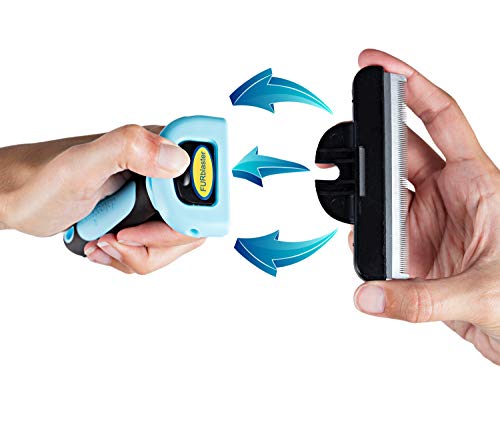 DakPets FURblaster - Cepillo de aseo para Perros Pequeños, Medianos y Grandes + Gatos con Pelaje Corto a Largo, color Azúl