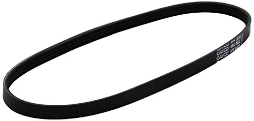 Dayco 4PK820 Correa Trapecial Poli V
