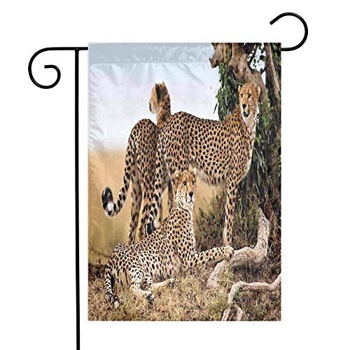 Decoración de vida silvestre Flor tropical Floral Bandera de patio al aire libreGuepardos Madre y dos bebés pequeños en busca de comida Animales exóticos peligrosos Bandera de patio al aire libre de v