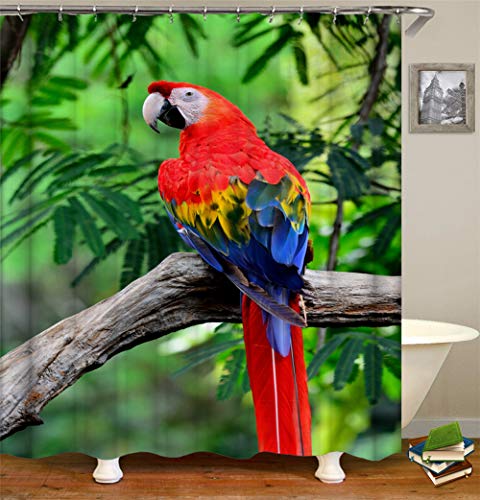 Decoración Hogareña. Ramita De Guacamayo. Cortina De Ducha 180X180Cm. Impresión 3D HD. Tejido Impermeable. Gancho Libre 12 Ganchos Gratis.