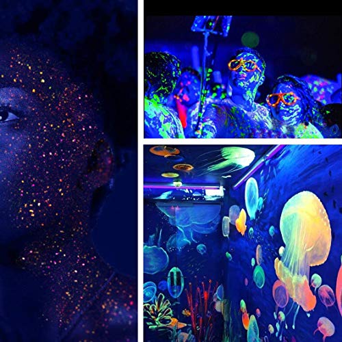 DEWEL Pigmento Fluorescente,Polvo Fluorescente de 20 g para Resina Epoxi/Pintura/Pintauñas