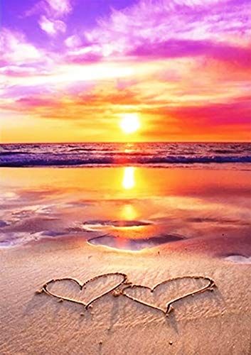 DIY 5D Diamante Pintura por Número Kit, Bricolaje Diamond Painting kit completo Bordado Punto de Cruz Diamante Craft Decoración del hogar 30x40cm