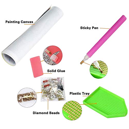 DIY 5D Diamante Pintura por Número Kit, Bricolaje Diamond Painting kit completo Bordado Punto de Cruz Diamante Craft Decoración del hogar 30x40cm