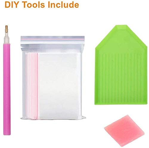 DIY 5D pintura de diamante sin marco, gato y pato, sin marco de punto de cruz completo diamante cuadrado diamante diamante Rhinestone imagen arte para la decoración del hogar. r 1004