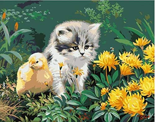 DIY 5D pintura de diamante sin marco, gato y pato, sin marco de punto de cruz completo diamante cuadrado diamante diamante Rhinestone imagen arte para la decoración del hogar. r 1004