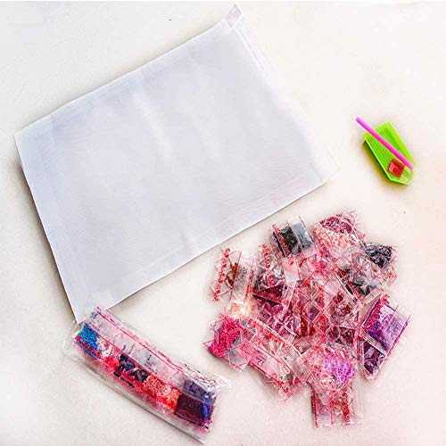 DIY 5D pintura de diamante sin marco, gato y pato, sin marco de punto de cruz completo diamante cuadrado diamante diamante Rhinestone imagen arte para la decoración del hogar. r 1004