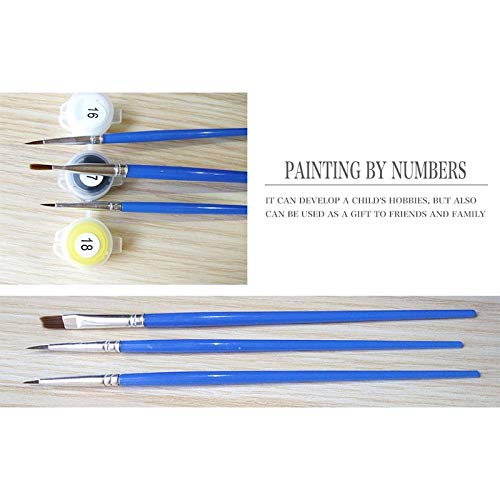 DIY Pintar por números Pintado a Mano Santa y Animal Adulto Digital Toolkit Painting, DIY Oil Painting Gift Set, Frameless Painting 40X50CM