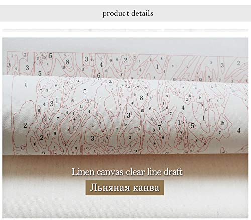 DIY Pintar por números Pintado a Mano Santa y Animal Adulto Digital Toolkit Painting, DIY Oil Painting Gift Set, Frameless Painting 40X50CM