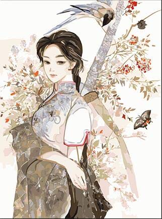 DIY Pintar por númerosSala de Estar de decoración de Pared de Belleza clásica asiática 40x50cm Sin Marco