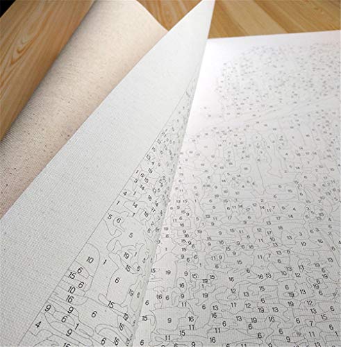 DIY Pintura al óleo por números Kit Adultos/niños Diablillo de Terror Paint by Numbers Kit Principiante con 3 Pinceles y Pintura Lona Oil Painting Decor para el Hogar(Sin Marco,60x75cm/24x30 Pulgada)